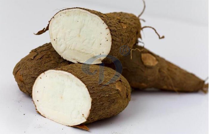 cassava products