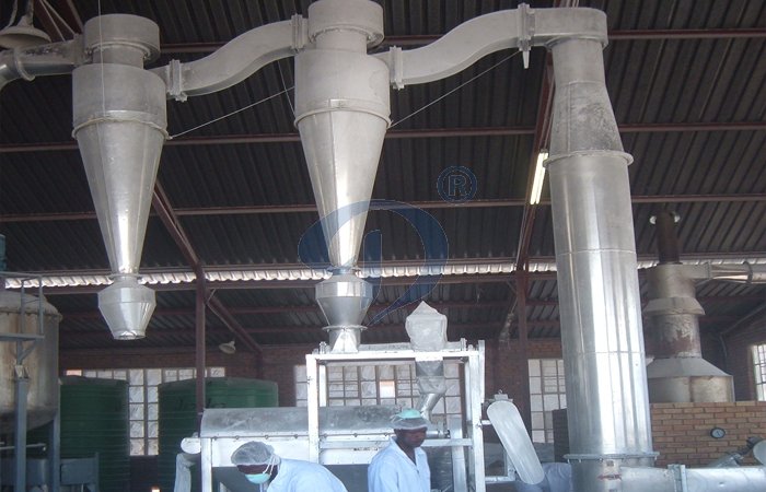 cassava root starch production