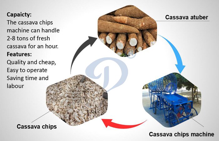 Production of cassava chips
