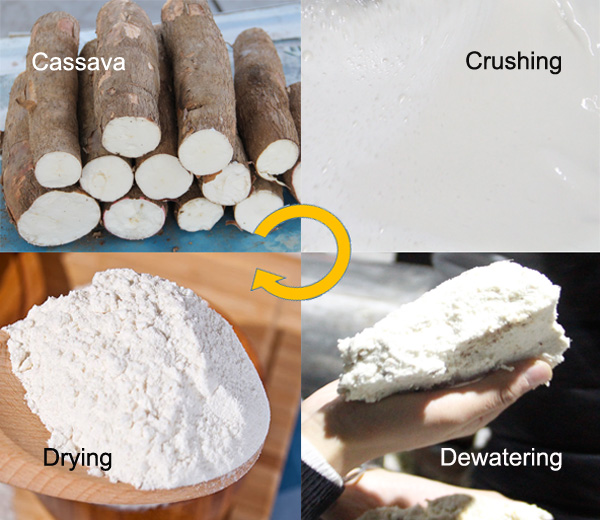 cassava flour processing steps