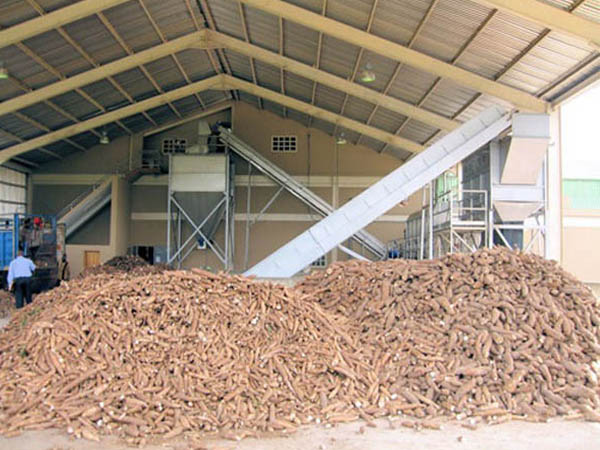 cassava processing factory