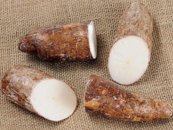 Two types of cassava