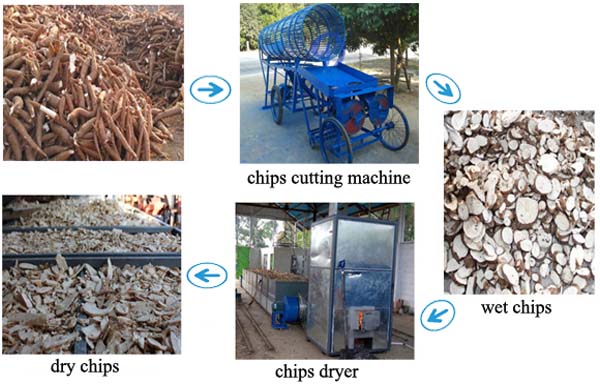 cassava chips production plant