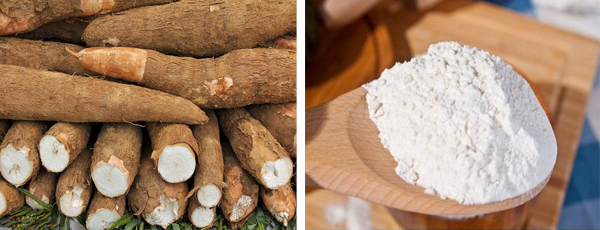 what is the difference between cassava starch and cassava flour