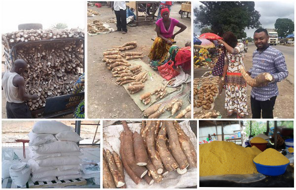 how profitable is garri processing business in nigeria
