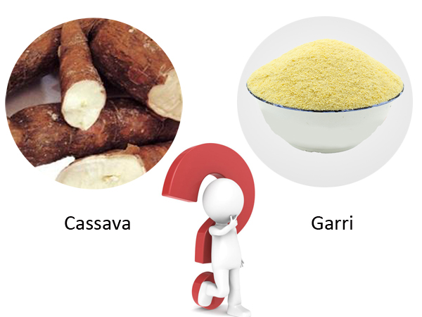 How to process garri from cassava?