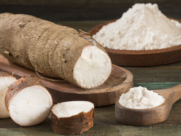 cassava industrial uses