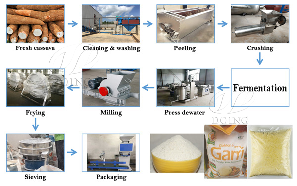 significance of fermentation in garri processing
