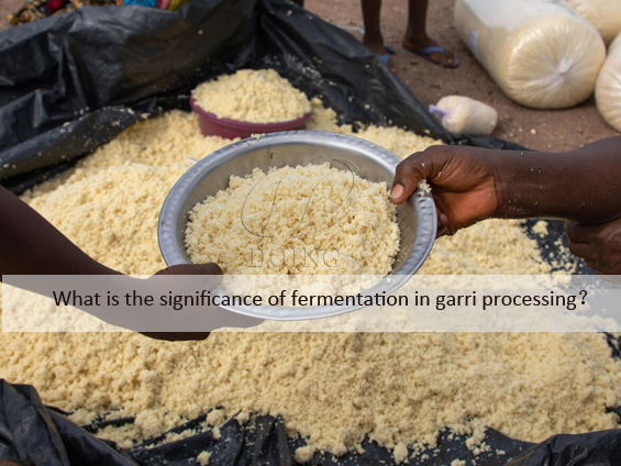 What is the significance of fermentation in garri processing？
