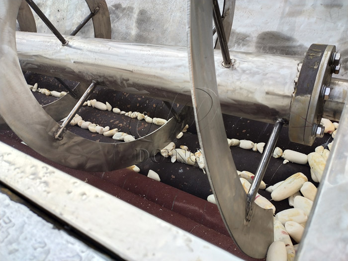 How to peel cassava root by cassava peeling and washing machine?