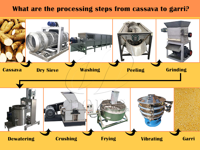 What are the processing steps from cassava to garri?