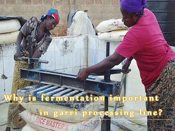 Why is fermentation important in garri processing line?