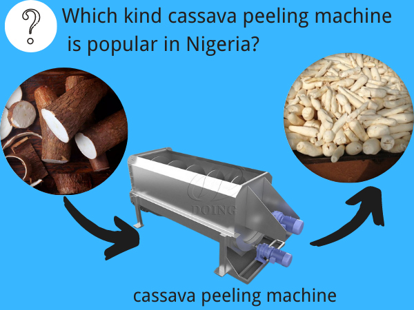 Why does Jinrui's cassava peeling machine sell well in Nigeria?
