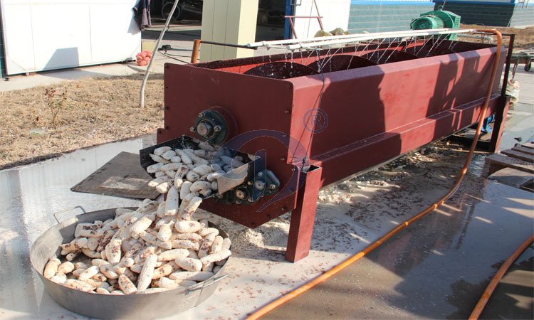 cassava peeling and washing machine