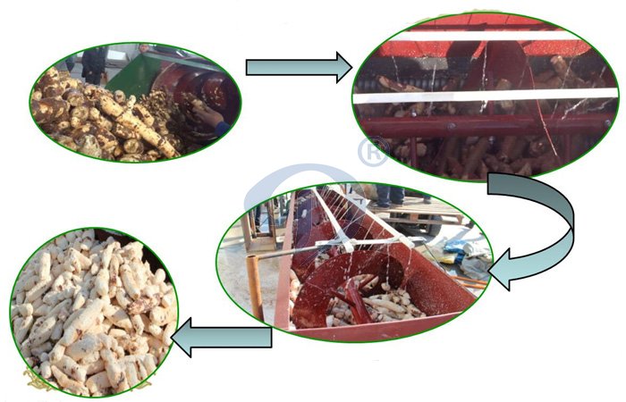 cassava cleaning and peeling machine