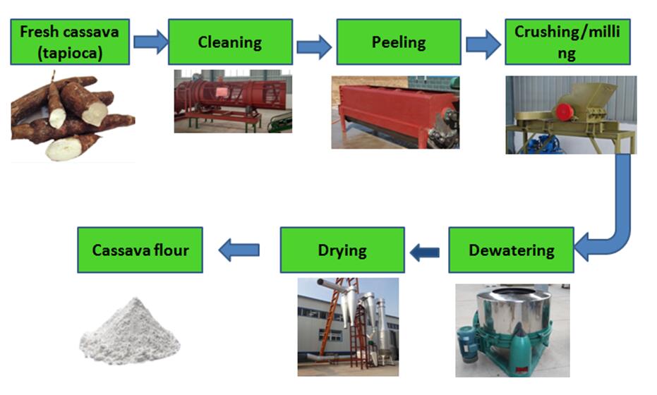 tapioca  flour processing line