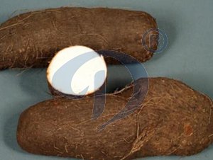 yam