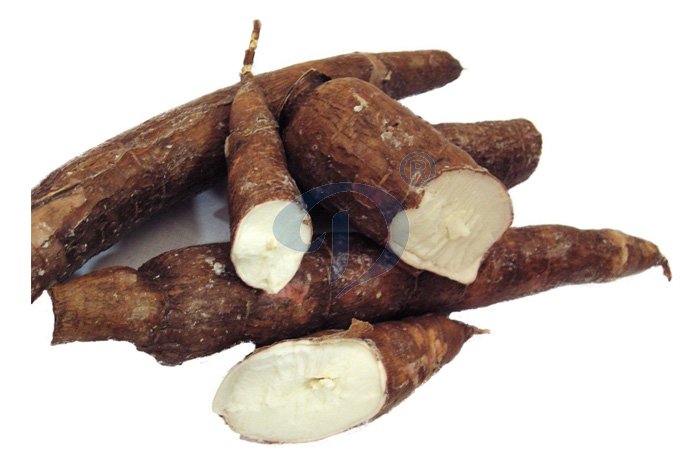 cassava