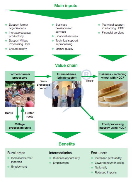 cassava flour processing introduction