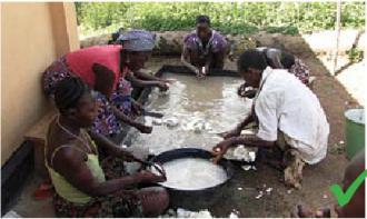 washing the cassava