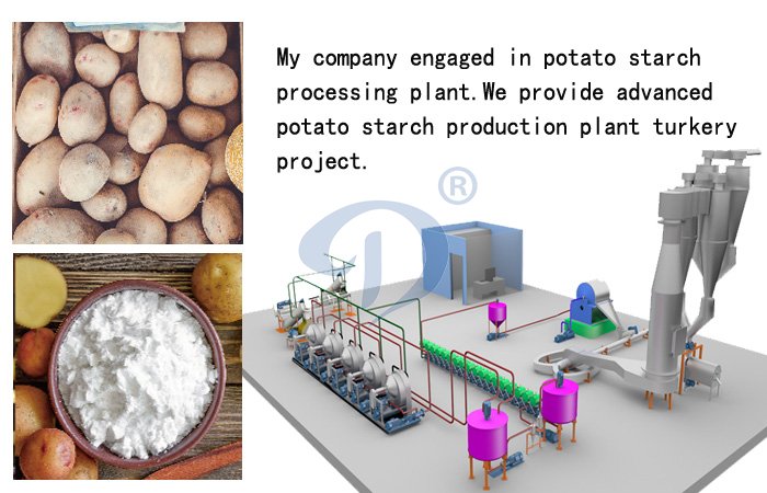 potato starch processing plant