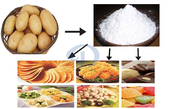 potato & potato starch application