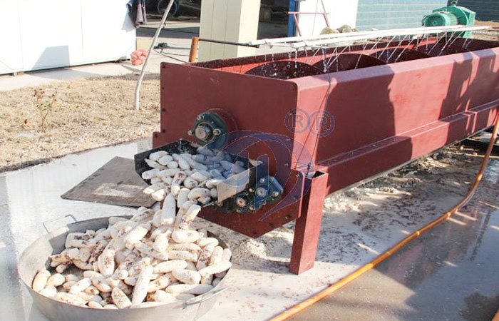 cassava washing and peeling machine