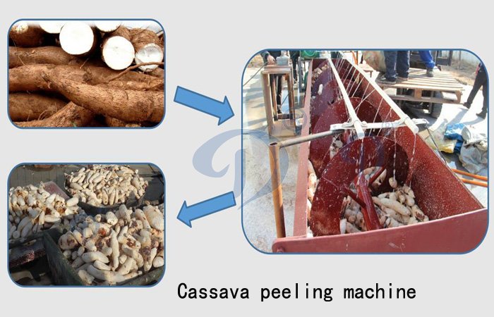 peeling machine for cassava