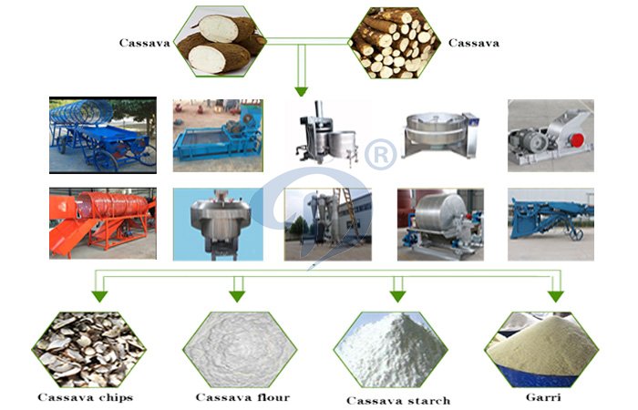 cassava processing plant