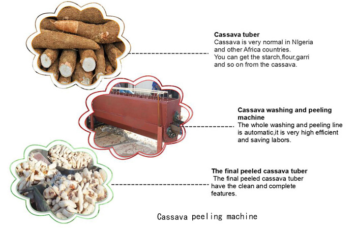 cassava peeling and washing machine