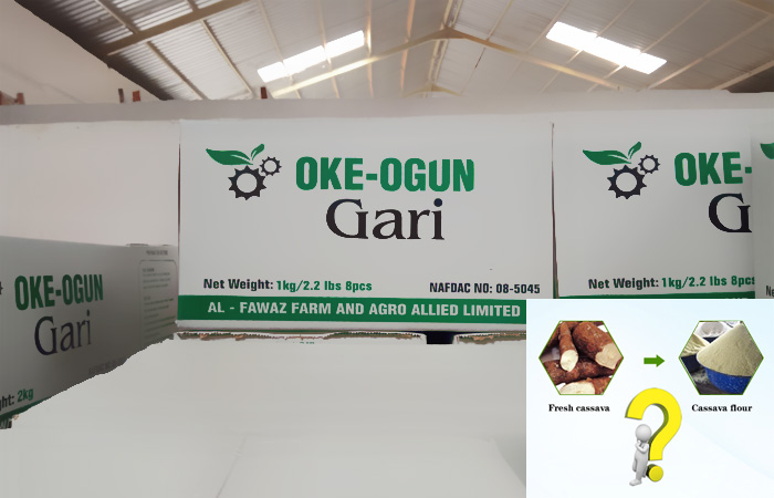 business plan on garri processing industry