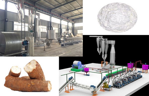 cassava flour production plant