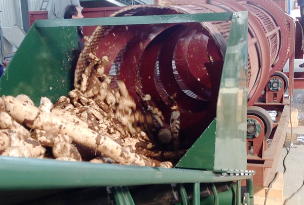 cassava cleaning machine