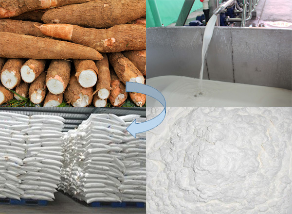 tapioca starch production process