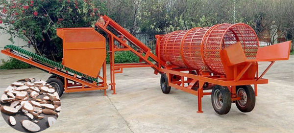 cassava chipps processing machine