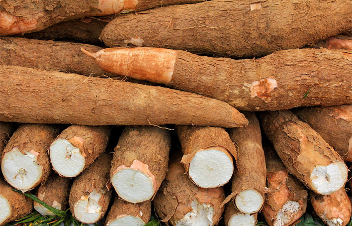 Africa cassava and cassava processing market overview