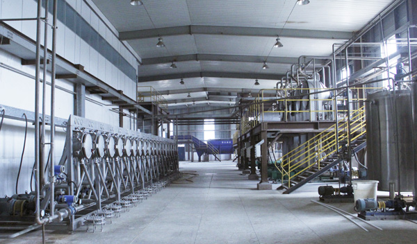 tapioca starch plant