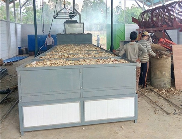 cassava chips drying machine