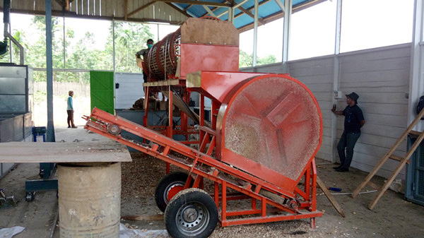 cassava chips making machine