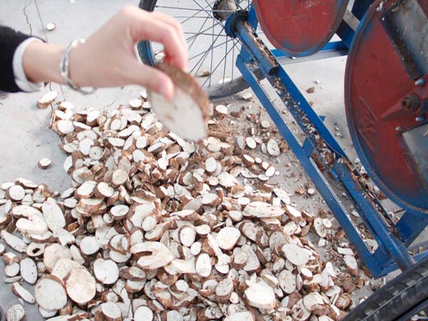 Tapioca chips cutting machine