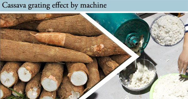 cassava grating machine