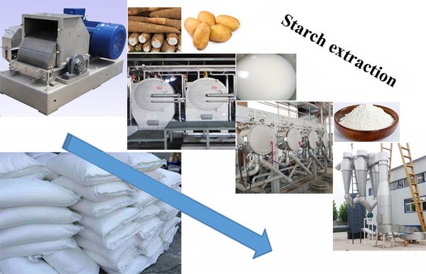 cassava starch processing plant
