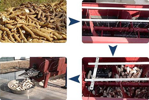 cassava peeling and washing machine