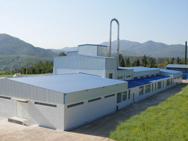 Cassava starch processing mill plant