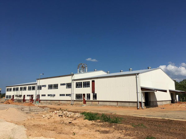 cassava processing plant