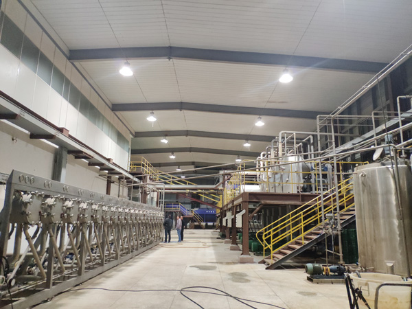 Automatic cassava starch processing machinery