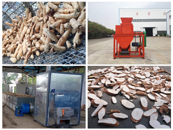 how to process cassava into cassava chips