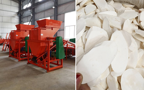 how to process cassava into cassava chips