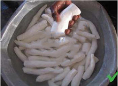 garri processing