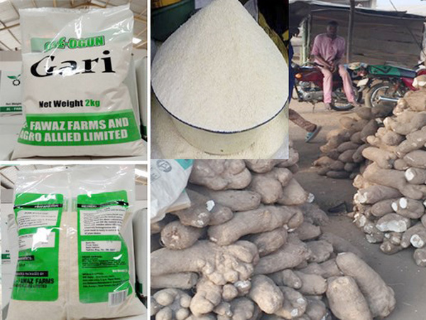 What's the method of processing cassava to garri?